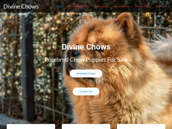 Divinechows.com - Chowchow Puppy Scam Review