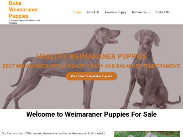 Dukeweimaranershome.com - Weimaraner Puppy Scam Review