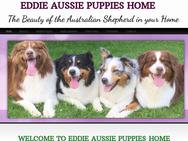 Eddieaussie.com - Australian Shepherd Puppy Scam Review