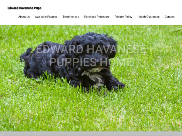 Edwardhavanesepups.com - Havanese Puppy Scam Review