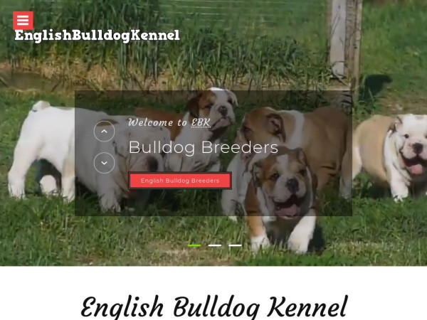 Englishbulldogkennel.com - English Bulldog Puppy Scam Review