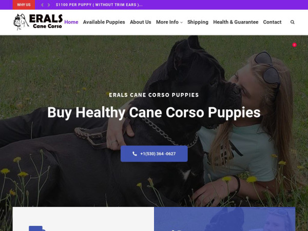 Eralscanecorso.com - Cane Corso Puppy Scam Review