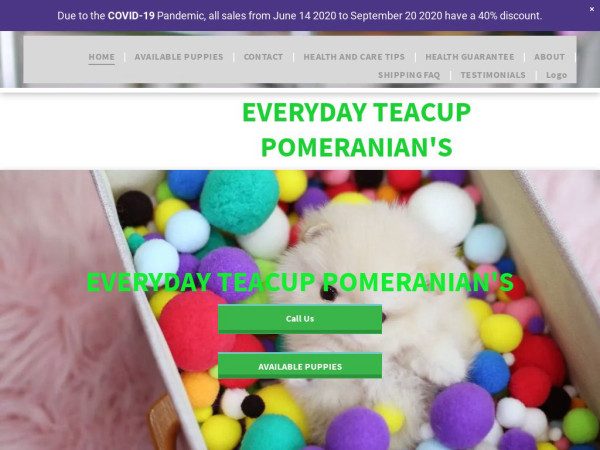 Everydaypoms.com - Pomeranian Puppy Scam Review