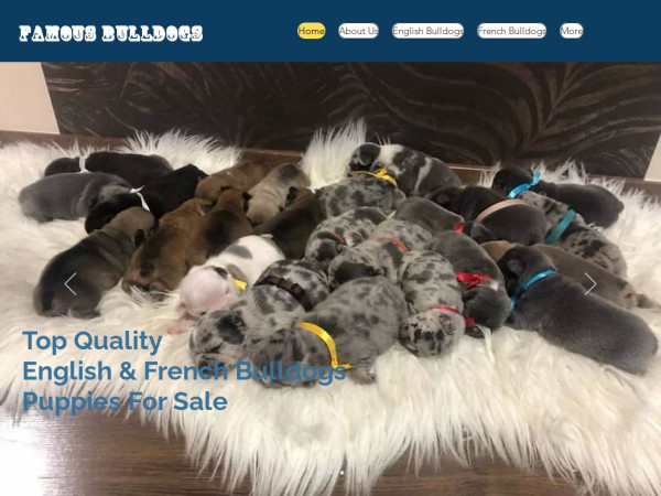 Famousbulldogs.com - Bulldog Puppy Scam Review