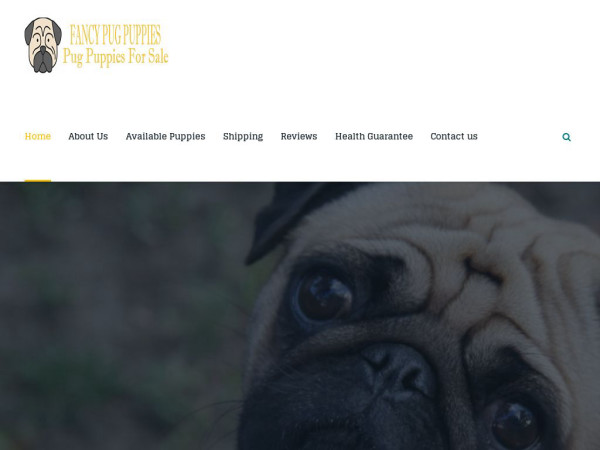 Fancypugpuppies.com - Pug Puppy Scam Review