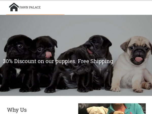 Fawnpugpuppies.com - Maltese Puppy Scam Review