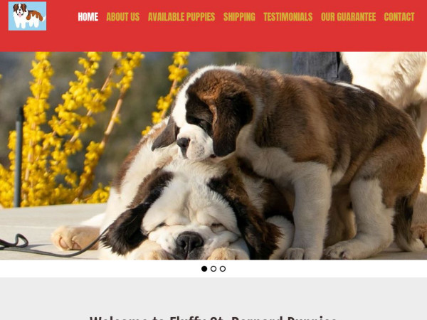 Fluffystbernards.com - Saint Bernard Puppy Scam Review