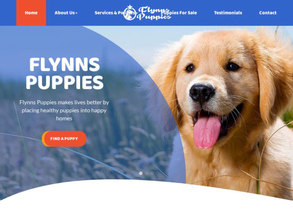 Flynnspuppies.com - Yorkshire Terrier Puppy Scam Review