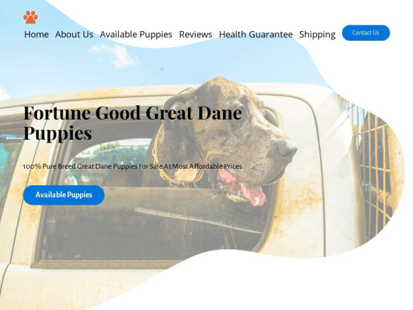 Fortunegoodgreatdanepuppies.com - Great Dane Puppy Scam Review