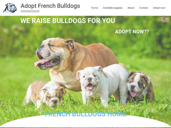 Frenchbuldog.com - French Bulldog Puppy Scam Review