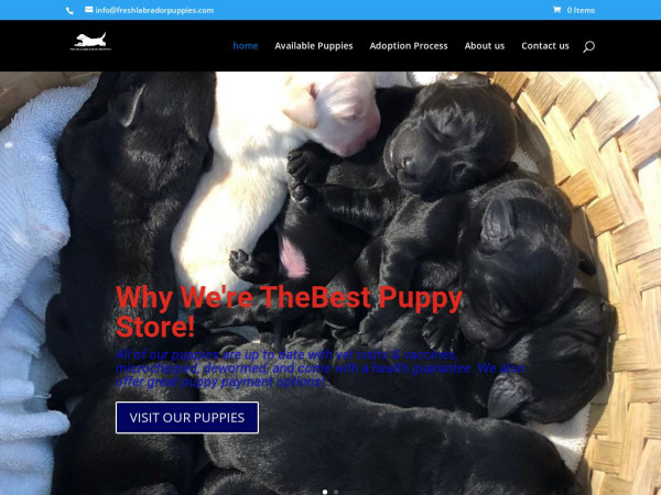 Freshlabradorpuppies.com - Labrador Puppy Scam Review