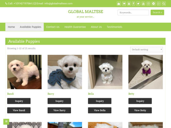 Globalmaltese.com - Maltese Puppy Scam Review