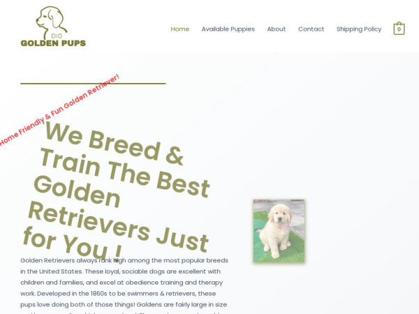 Golden-pups.com - Golden Retriever Puppy Scam Review