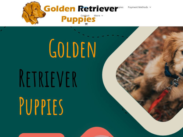 Golden-retriever-puppies.com - Golden Retriever Puppy Scam Review