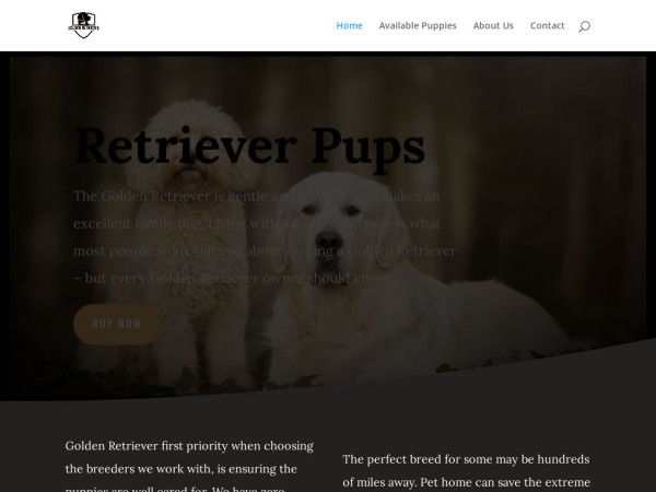 Goldenretrieverpethome.com - Golden Retriever Puppy Scam Review