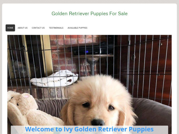 Goldenretrieversshopping.com - Golden Retriever Puppy Scam Review