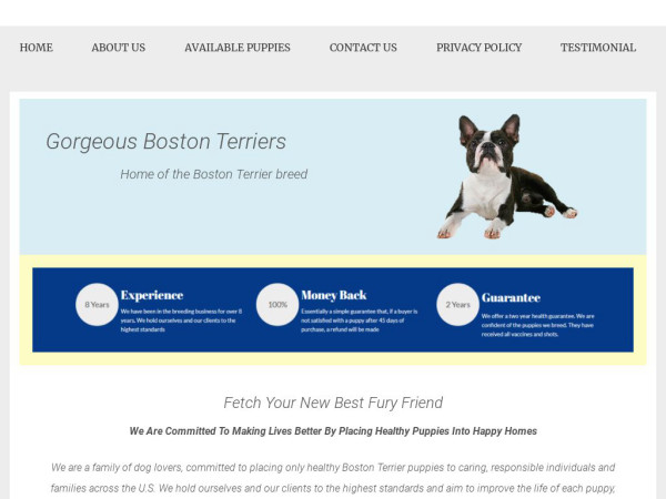 Gorgeousbostonterriers.com - Boston Terrier Puppy Scam Review