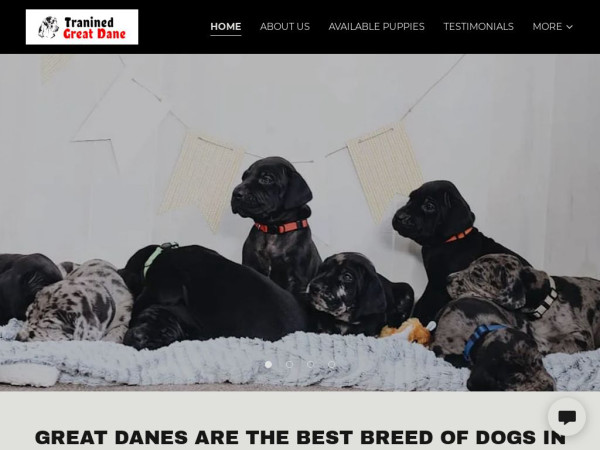 Greatdanepets.com - Great Dane Puppy Scam Review