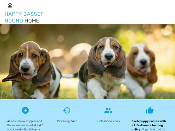 Happybassetpuppies.com - Bassethound Puppy Scam Review