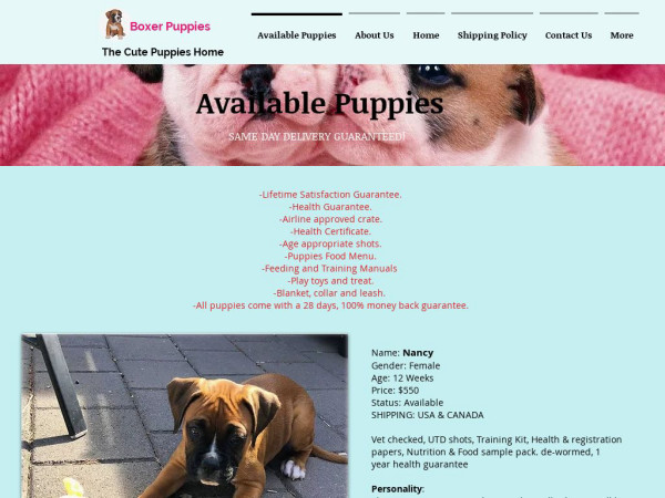 Happycuteavailable.com - Boxer Puppy Scam Review