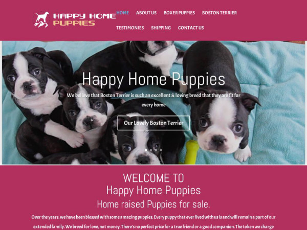 Happyhomepuppies.com - Boxer Puppy Scam Review