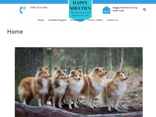 Happyshelties.com - Sheltie Puppy Scam Review