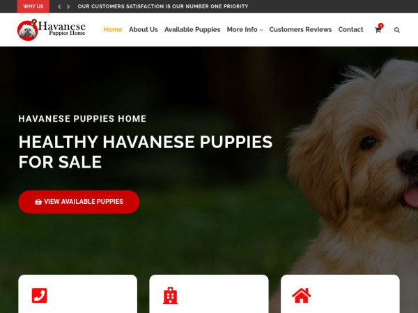 Havanesepuppieshome.com - Havanese Puppy Scam Review