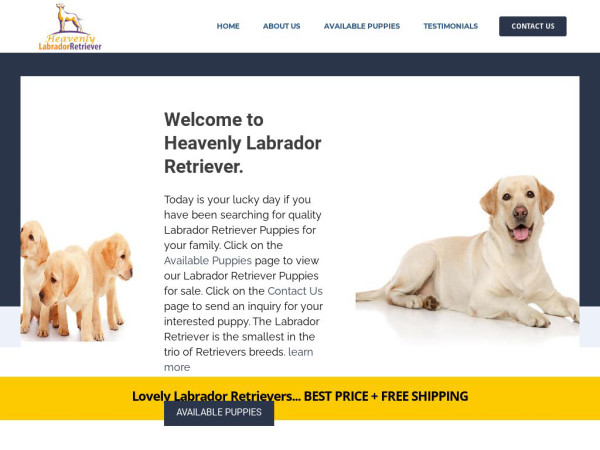 Heavenlylabstoday.com - Golden Retriever Puppy Scam Review