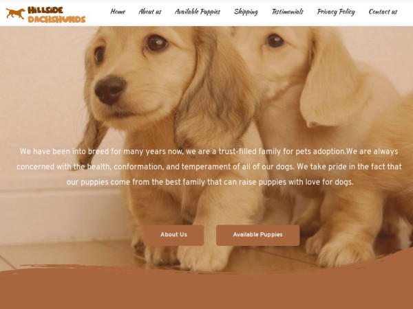 Hillsidedachshunds.com - Dachshund Puppy Scam Review