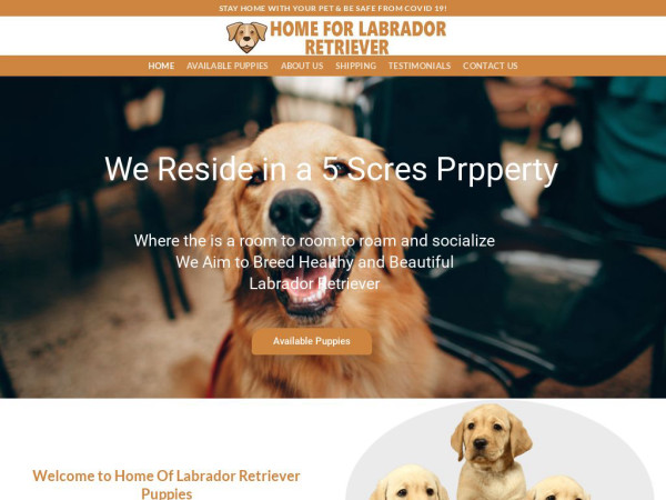 Homeforlabradorretriever.com - Golden Retriever Puppy Scam Review