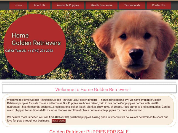 Homegoldenretrievers.com - Golden Retriever Puppy Scam Review