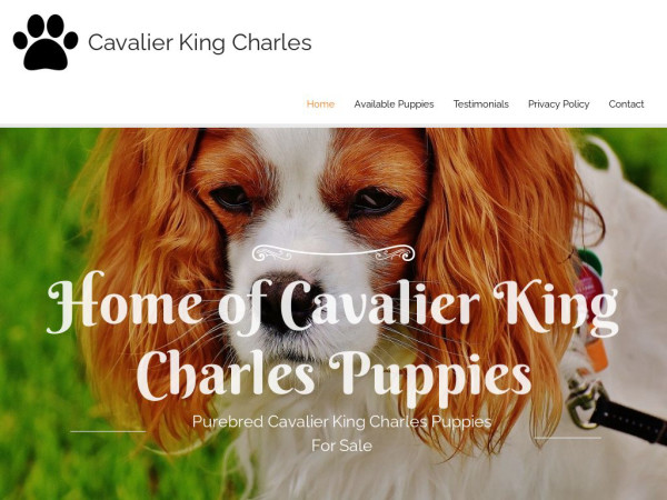 Homeofkingcharlescavalier.com - Cavalier King Charles Spaniel Puppy Scam Review