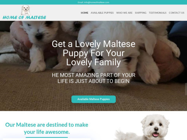 Homeofmaltese.com - Maltese Puppy Scam Review