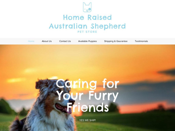 Homeraisedaussie.com - Australian Shepherd Puppy Scam Review