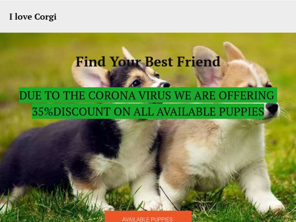 Hometrainedcorgi.com - Corgi Puppy Scam Review