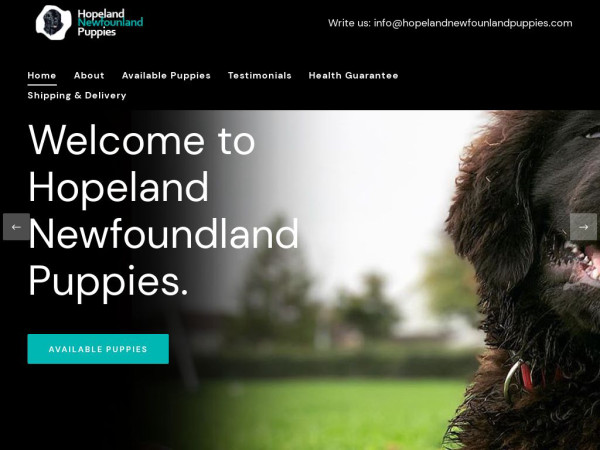 Hopelandnewfounlandpuppies.com - Labrador Puppy Scam Review