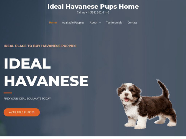 Idealhavanesepupshome.com - Havanese Puppy Scam Review