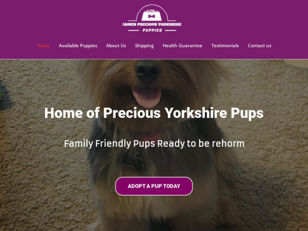 Jamespreciousyorkshirepuppies.com - Yorkshire Terrier Puppy Scam Review