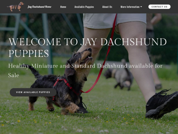 Jayminiaturedachshundpups.com - Dachshund Puppy Scam Review