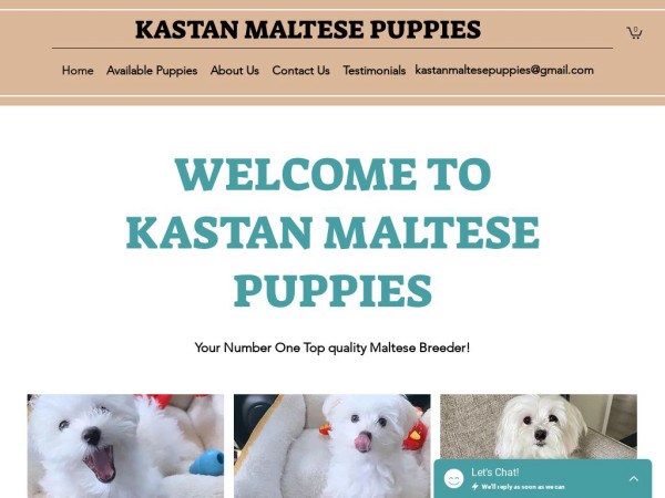 Kastanmaltesepuppies.com - Maltese Puppy Scam Review