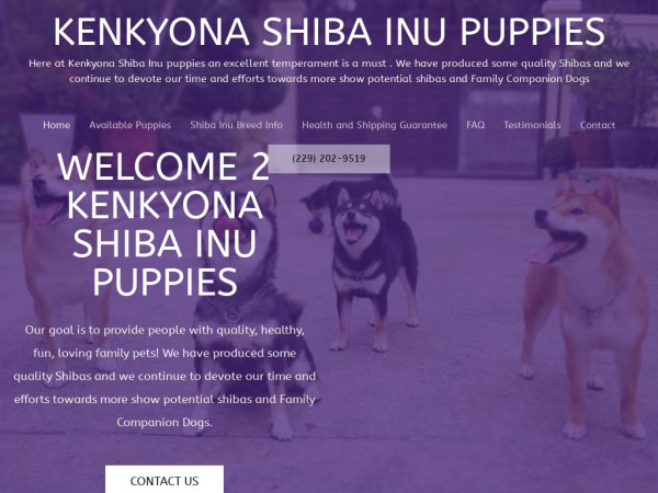 Kenkyonashibainu.com - Shibhainu Puppy Scam Review