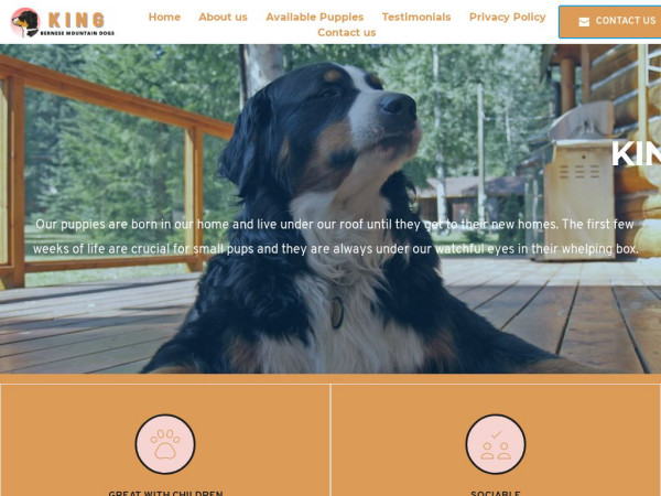 Kingbernesemountaindogs.com - Bernese Mountain Dog Puppy Scam Review