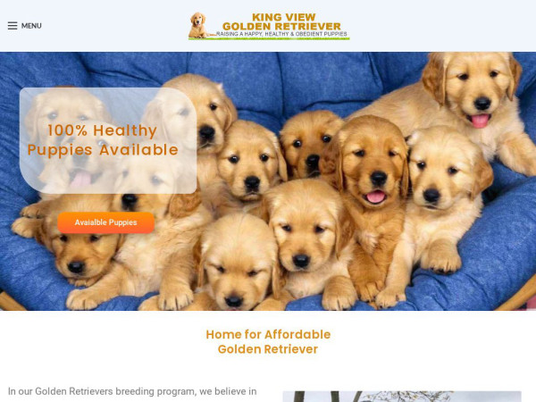 Kingviewgoldenretriever.com - Golden Retriever Puppy Scam Review