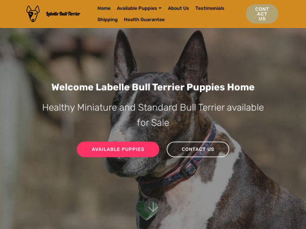 Labellebullterrierpuppies.com - Terrier Puppy Scam Review