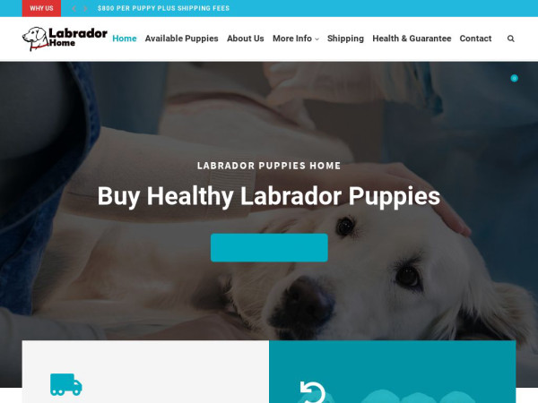 Labpuppieshome.com - Labrador Puppy Scam Review