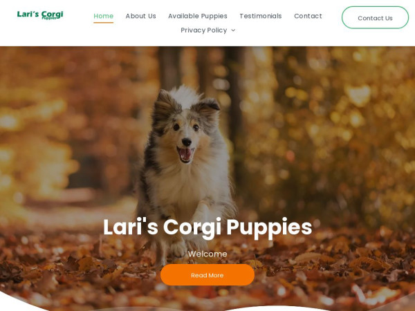 Lariscorgipuppies.com - Corgi Puppy Scam Review