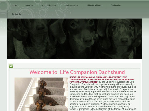 Lifecompanionminidachshund.com - Dachshund Puppy Scam Review