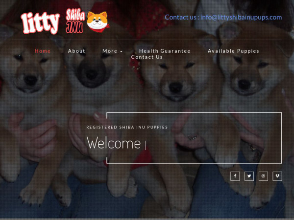 Littyshibainupups.com - Shibhainu Puppy Scam Review