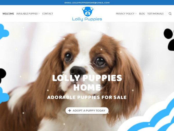 Lollypuppieshome.com - Cavalier King Charles Spaniel Puppy Scam Review