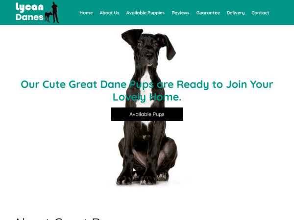 Lycandanes.com - Great Dane Puppy Scam Review